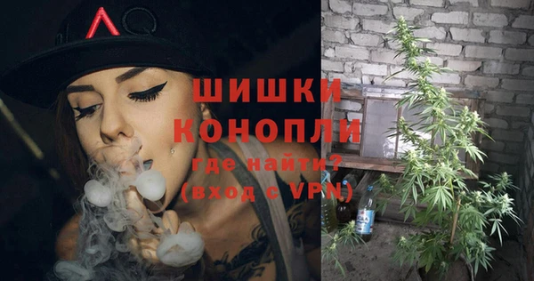 сатива Надым