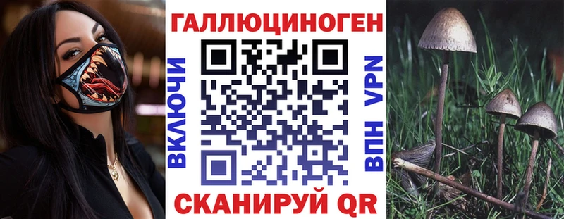 blacksprut сайт Куровское Псилоцибиновые грибы GOLDEN TEACHER