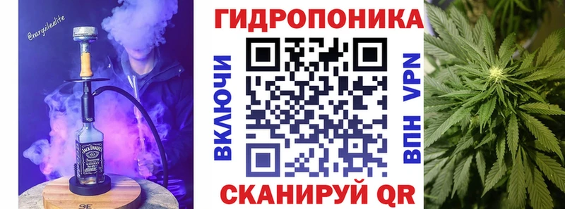 Канабис AK-47  Куровское 